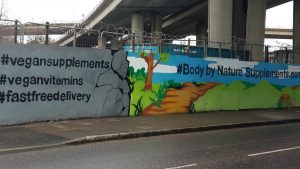 BodyBy Nature Advert