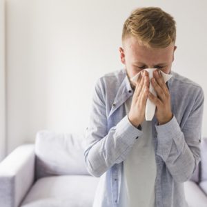 Hay Fever