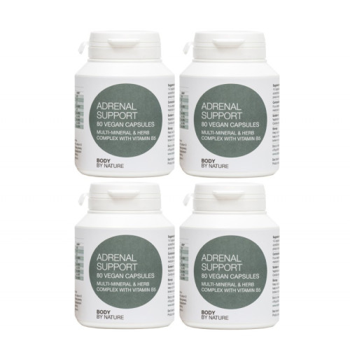 Adrenal Support (4 Pack)