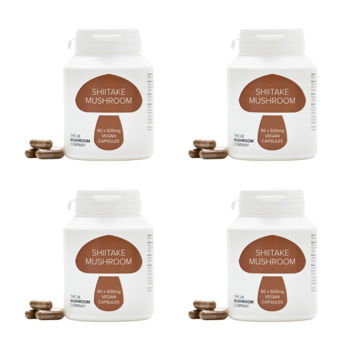 Shitake Mushroom - 4 Pack Shitake Mushroom - 4 Pack
