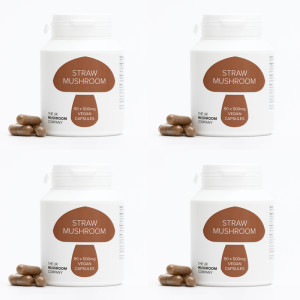 Straw Mushroom - 4 Pack Straw Mushroom - 4 Pack