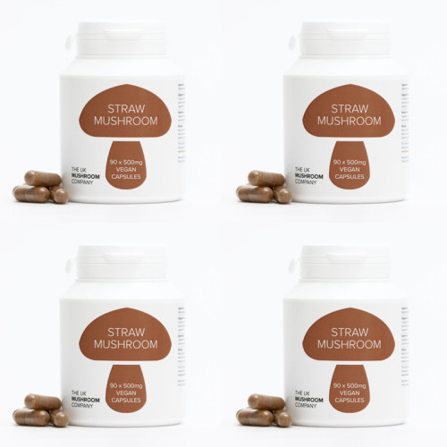 Straw Mushroom - 4 Pack Straw Mushroom - 4 Pack