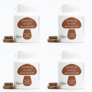 Agaricus Blazei Mushroom - 4 Pack Agaricus Blazei Mushroom - 4 Pack