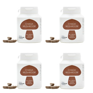 Chaga Mushroom - 4 Pack Chaga Mushroom - 4 Pack