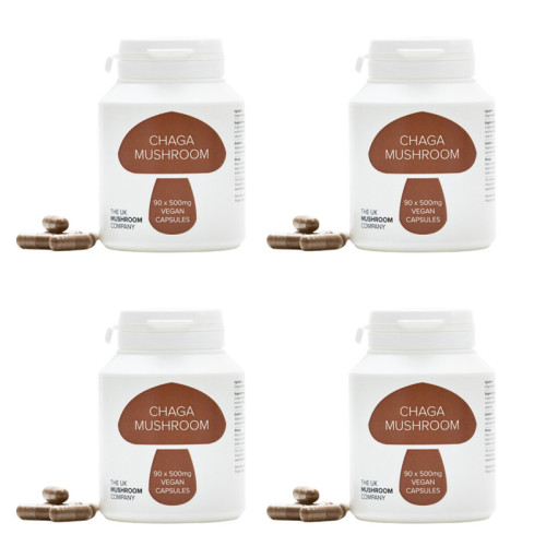 Chaga Mushroom - 4 Pack