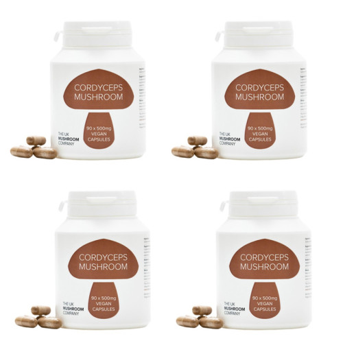 Cordyceps Mushroom - 4 Pack