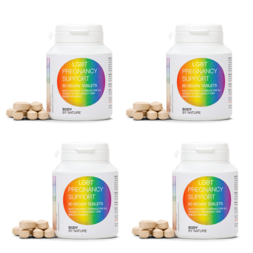 LGBT Pregnancy Support (4 Pack) LGBT Pregnancy Support (4 Pack)