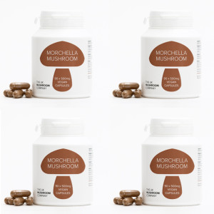 Morchella Mushroom - 4 Pack Morchella Mushroom - 4 Pack