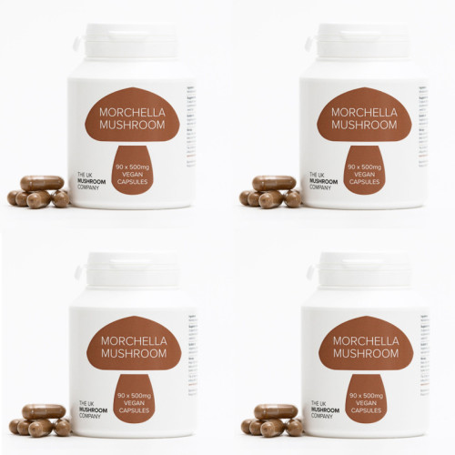 Morchella Mushroom - 4 Pack Morchella Mushroom - 4 Pack