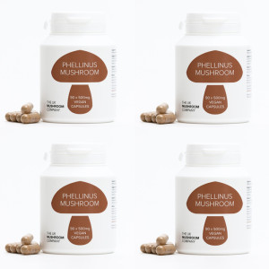 Phellinus Mushroom - 4 Pack Phellinus Mushroom - 4 Pack