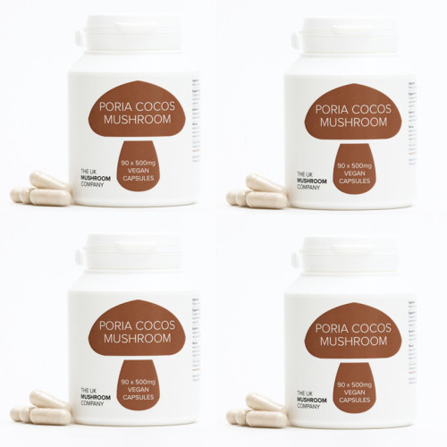 Poria Cocos Mushroom - 4 Pack Poria Cocos Mushroom - 4 Pack