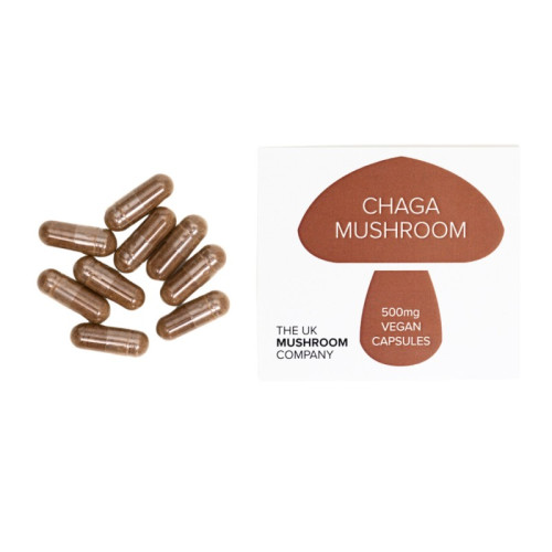 Chaga Mushroom - 30 Eco Pack Chaga Mushroom - 30 Eco Pack