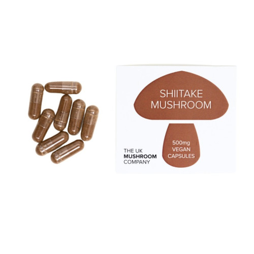 Shitake Mushroom - 100 Eco Pack Shitake Mushroom - 100 Eco Pack