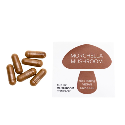 Morchella Mushroom - 100 Eco Pack Morchella Mushroom - 100 Eco Pack
