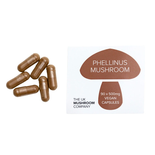 Phellinus Mushroom - 150 Eco Pack Phellinus Mushroom - 150 Eco Pack