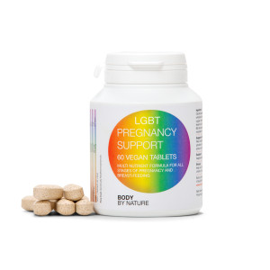 LGBT Pregnancy Support LGBT Pregnancy Support