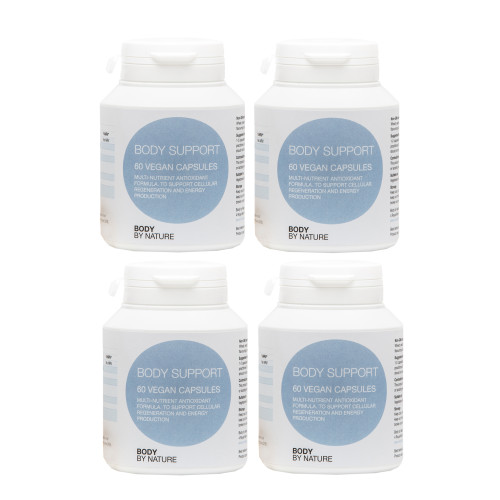** STAR BUY ** Body Support (4 Pack) ** STAR BUY ** Body Support (4 Pack)
