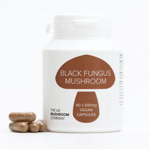 Black Fungus Mushroom Mushroom Black Fungus Mushroom Mushroom