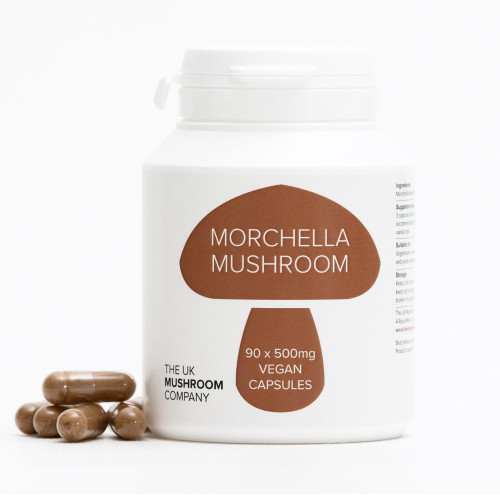 Morchella Mushroom Morchella Mushroom