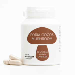 Poria Cocos Mushroom Poria Cocos Mushroom