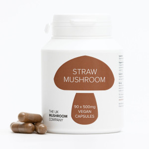 Straw Mushroom Straw Mushroom