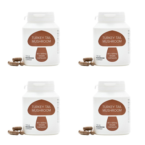 *NEW* Turkey Tail Mushroom - 4 Pack