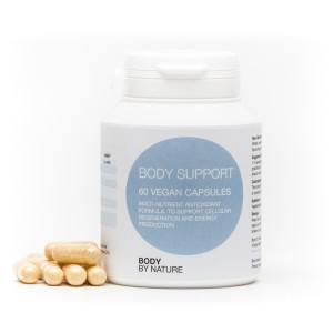Body Support